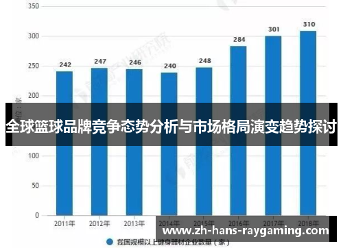 全球篮球品牌竞争态势分析与市场格局演变趋势探讨