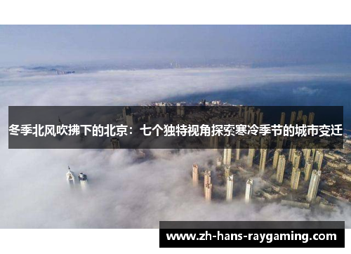 冬季北风吹拂下的北京：七个独特视角探索寒冷季节的城市变迁