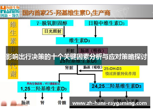 影响出行决策的十个关键因素分析与应对策略探讨